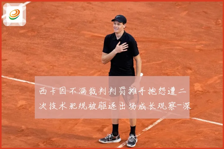 西卡因不满裁判判罚摊手抱怨遭二次技术犯规被驱逐出场成长观察-深度解析