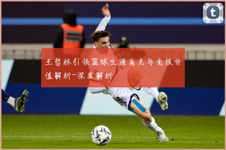 王哲林引领篮球生涯高光与竞技价值解析-深度解析