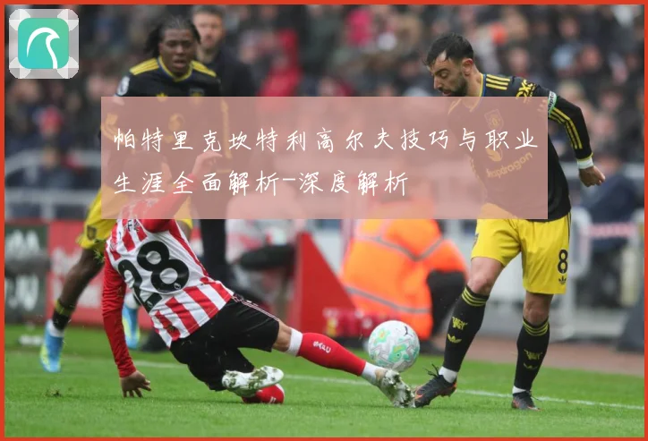 帕特里克坎特利高尔夫技巧与职业生涯全面解析-深度解析