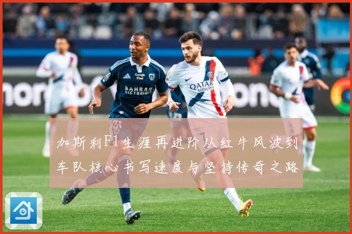 加斯利F1生涯再进阶从红牛风波到车队核心书写速度与坚持传奇之路解析-深度解析