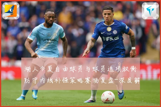 湖人今夏自由球员与球员选项权衡防守内线补强策略赛场复盘-深度解析