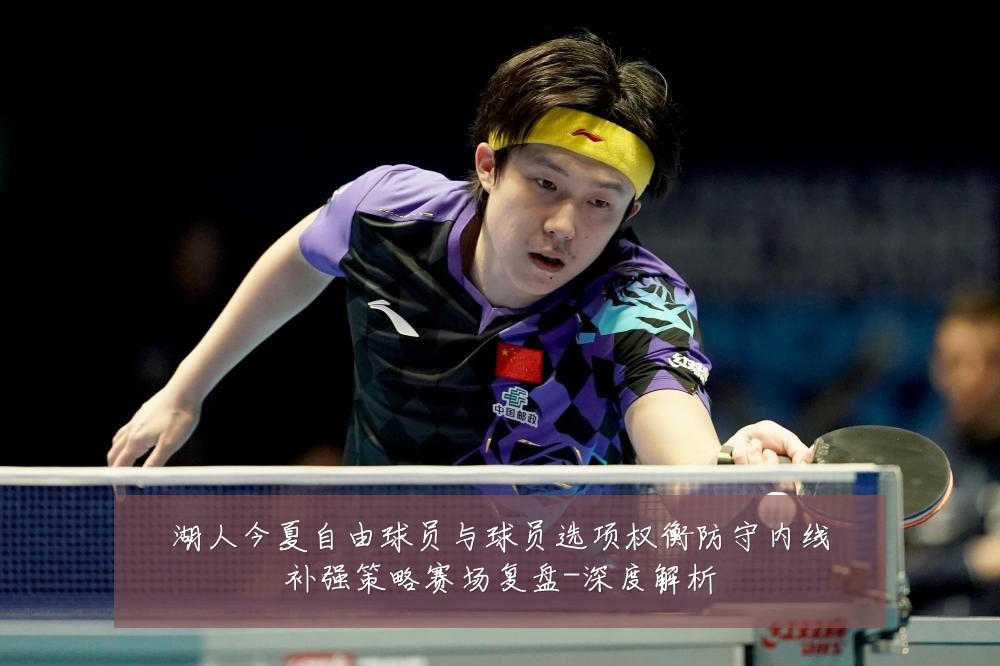 湖人今夏自由球员与球员选项权衡防守内线补强策略赛场复盘-深度解析